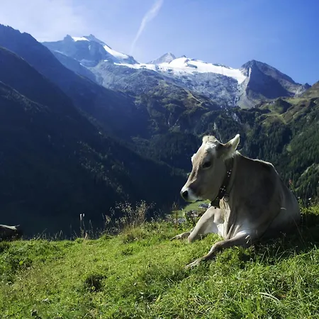 Chalet Quiet Situated Appartment, Cleaning Included Aschau Im Zillertal