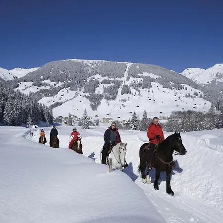 In Aschau Near Lift Kaltenbach, Cleaning Included *
